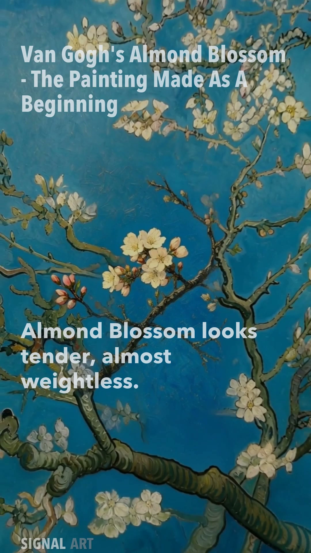 Why Van Gogh's Almond Blossom Feels So Modern